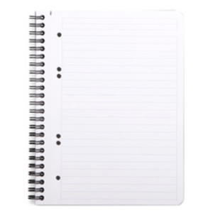 RHODIA Cahier à spirale GREENBOOK, A5+, ligné, noir