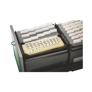 LEITZ Bac pour dossiers suspendus ALPHA, noir