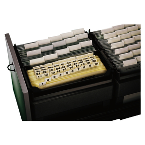 LEITZ Bac pour dossiers suspendus kit rendez vous, noir