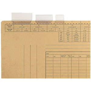 LEITZ porte-étiquettes transparent, (l)25 mm, 3 lignes