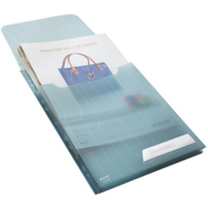 LEITZ pochette perforée / porte document CombiFile Maxi,
