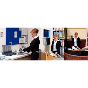 LEITZ Agrafeuse gros travaux, capacité: 80 feuilles, argent  - 46204