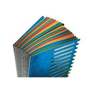 LEITZ Trieur Deskorganizer Color, A4, 1-24/A-Z, bleu