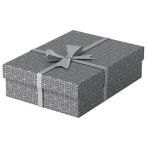 Esselte Boîte de rangement et cadeau Home S, set de 3, gris