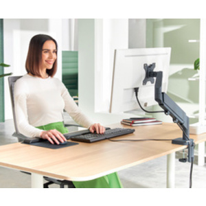 LEITZ Bras simple pour écran Ergo, gris velours