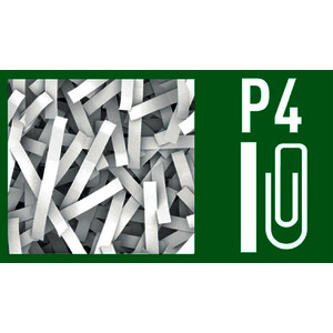 LEITZ Destructeur de documents IQ Protect Premium 6X, blanc