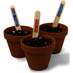 DYMO Embosseur Junior avec compartiment de cassette