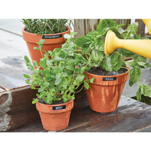 DYMO Ruban d'étiquette D1 noir/orange, 12 mm x 3 m