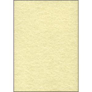 sigel Papier structuré, A4, 200 g/m2, Perga champagne