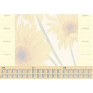 sigel Sous-main bloc papier 'Beach', 595 x 410 mm