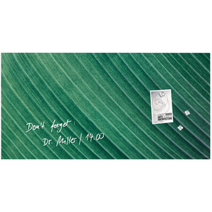 sigel Tableau magnétique en verre Artverum Design Palm Leaf