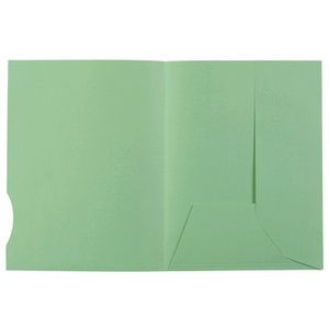 EXACOMPTA Chemise SUPER 250, A4, avec 2 rabats, vert clair