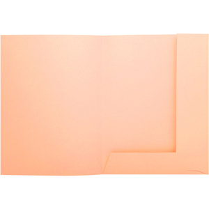 EXACOMPTA Chemises SUPER 250, A4, avec 2 rabats, bulle