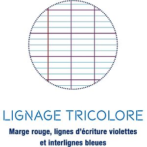 Clairefontaine Feuillets mobiles perforés couleur, A4, séyès