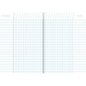 Clairefontaine Cahier de bord pour enseignant, A4, 48 pages