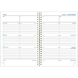 EXACOMPTA Agenda de bureau SAD 19S, 2025/2026, 16 mois