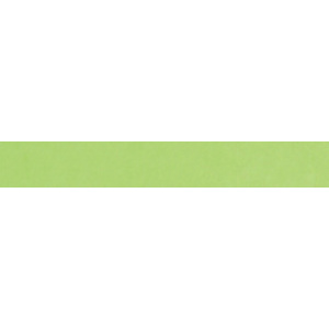Clairefontaine Papier de soie, (l)500 x (H)750 mm,vert pomme
