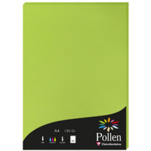 Pollen by Clairefontaine Papier A4, blanc irisé