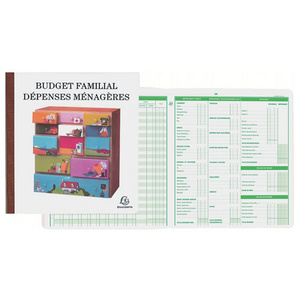 EXACOMPTA Piqûre 'Budget dépenses ménagères', 270 x 250 mm