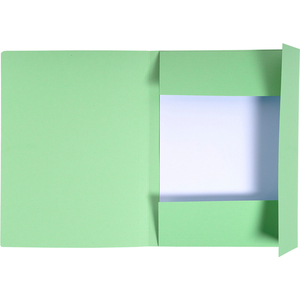 EXACOMPTA Chemise imprimée Foldyne 300, A4, vert pastel