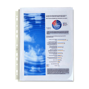 EXACOMPTA Pochettes perforées à soufflet, A4, PP