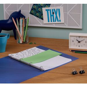 EXACOMPTA Fiches intercalaires, 105 x 240 mm, vert