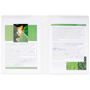 EXACOMPTA Chemise de présentation, en PP, A4, cristal