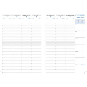EXACOMPTA Agenda de bureau SAD 29 NIL, 2025/2026, 16 mois