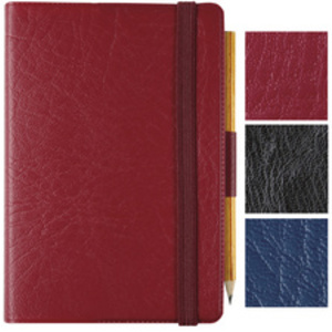 EXACOMPTA Agenda de poche Journal 13 Quadrillé 2026, assorti