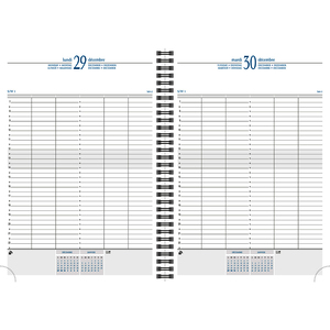 EXACOMPTA Agenda journalier 'Time 29 S', 2026, bleu