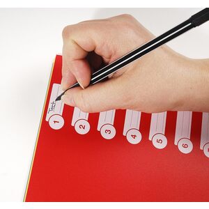 EXACOMPTA Intercalaires en plastique, uni, A4+, 12 touches