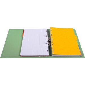 EXACOMPTA Classeur à levier PVC Premium, A4, 50 mm,vert anis