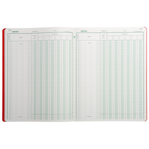 EXACOMPTA Piqûre comptable 'Ventes', 320 x 250 mm, 80 pages