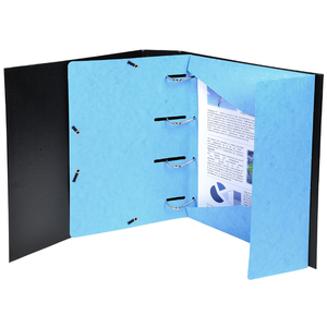 EXACOMPTA Chemise à élastiques 3 rabats perforées 'Punchy+'