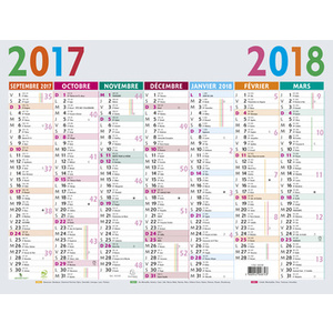 EXACOMPTA Calendrier Multicolore, 2025/2026, 295 x 220 mm