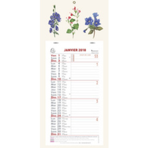 EXACOMPTA Calendrier mural, 2024, 410 x 190 mm, fond Fleurs