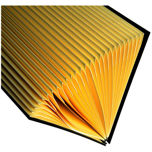 EXACOMPTA Trieur Ordonator, A4, A-Z, 26 compartiments, noir