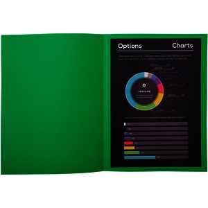 EXACOMPTA Chemises ROCK'S, A4, vert sapin  - 51908