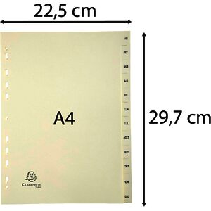EXACOMPTA Intercalaires carte peau d'âne, mensuel Jan-Déc
