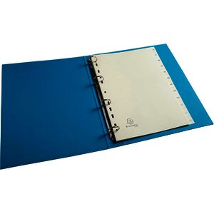 EXACOMPTA Intercalaires carte peau d'âne, mensuel Jan-Déc