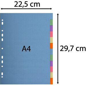 EXACOMPTA Intercalaires en carton, A4, 12 touches  - 56727