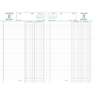 EXACOMPTA Agenda Carré Recettes/Dépenses, 2026, assorti