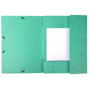 EXACOMPTA Chemise à élastique Scotten, carton, A4, vert