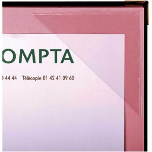 EXACOMPTA Parapheur, A4, 24 compartiments, bordeaux