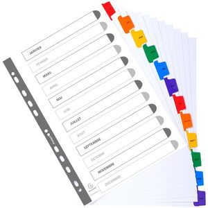 EXACOMPTA Intercalaires mensuels Janvier-Décembre, A4