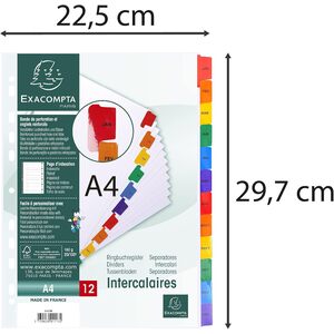 EXACOMPTA Intercalaires mensuels Janvier-Décembre, A4