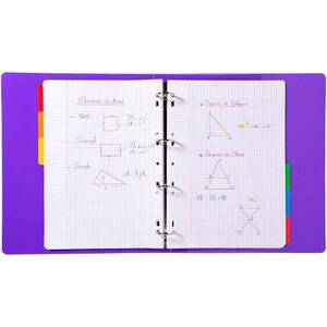 EXACOMPTA Intercalaires en carton, A4, blanc, 6 touches