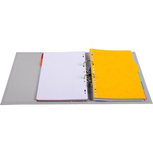 EXACOMPTA Classeur à levier PVC Premium, A4, 50 mm, gris
