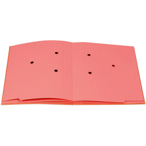 EXACOMPTA Parapheur Forever, A4, 20 compartiments,kraft brun