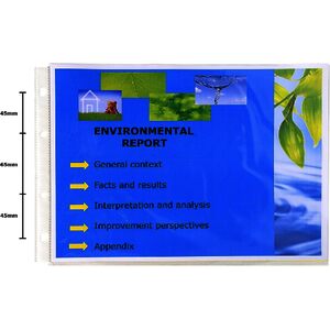 EXACOMPTA Pochette perforée Exactive, A4, PP, cristal lisse